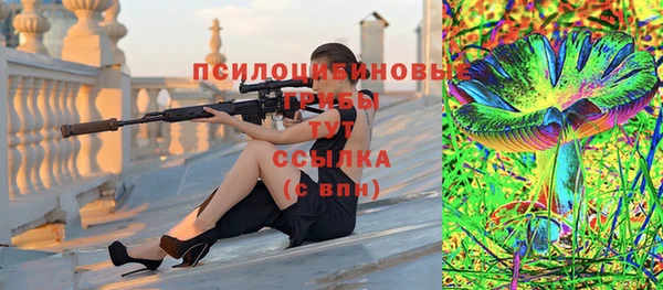 спиды Вязьма