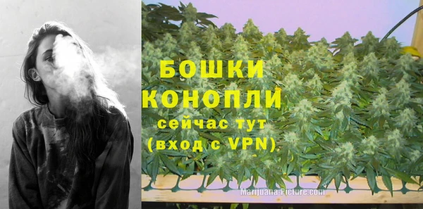 спиды Вязьма