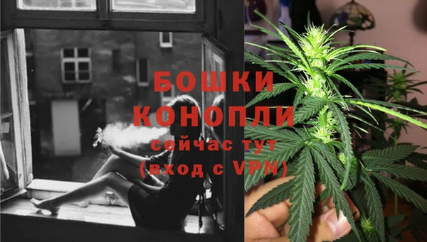 кокс Вяземский