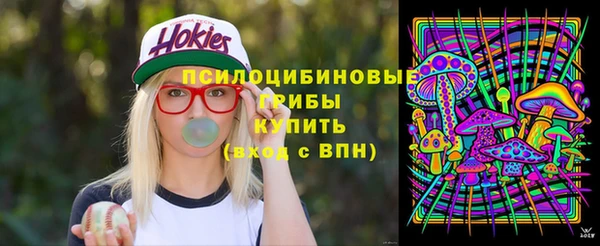 кокс Вяземский