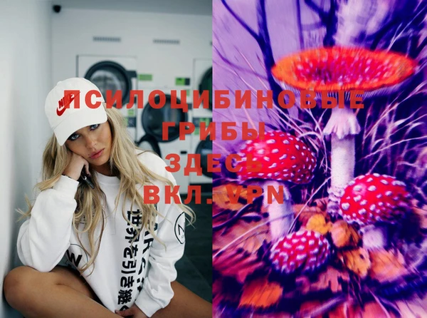 спиды Вязьма