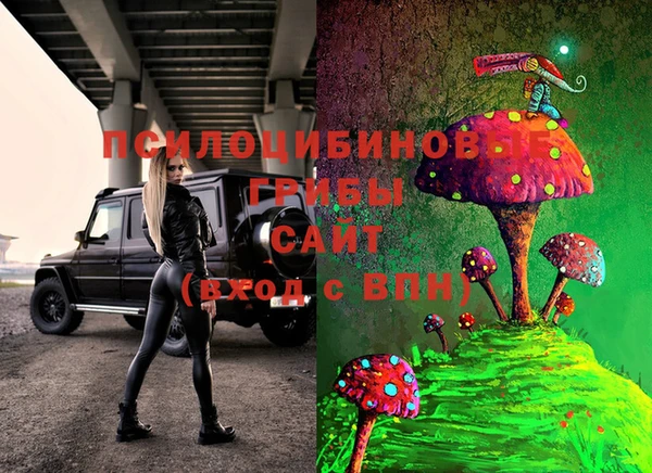 спиды Вязьма